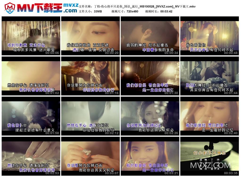 丁炜-伤心的不只是你_国语_流行_MB100528